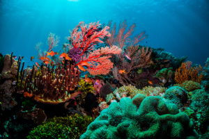 Cairns, Australia